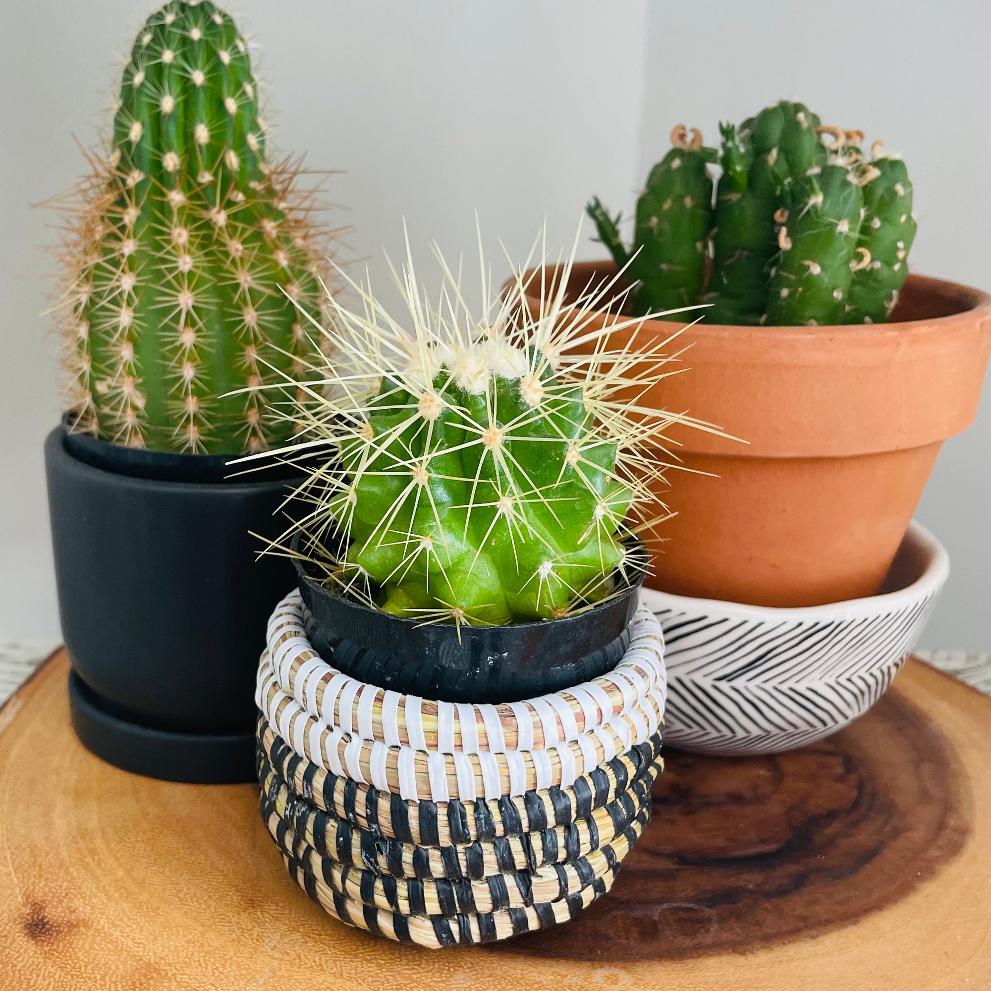 Senegal | Natural Basket | Mini