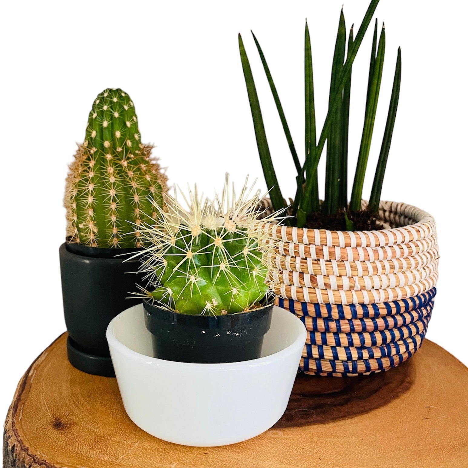 Senegal | Natural Basket | 2 sizes