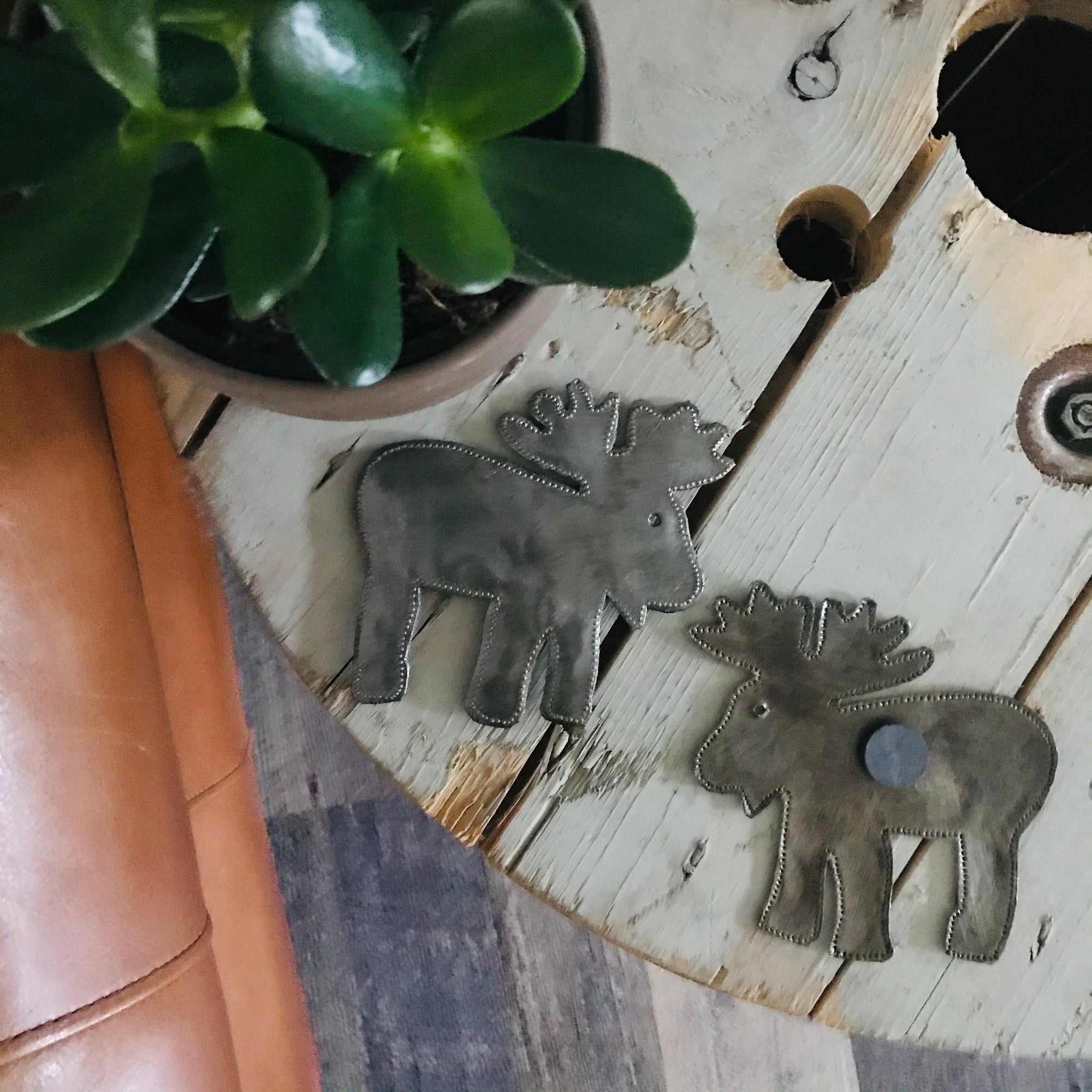 Haiti | Magnet - Moose